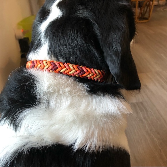 ⭐️Host Pick⭐️ Zara Multi-Coloured Braided Leash and Collar - Picture 6 of 12